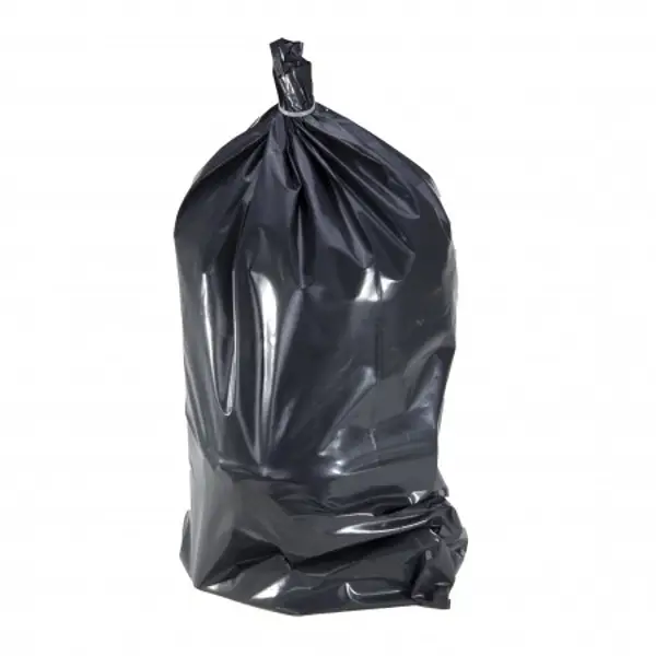 41202.JPG