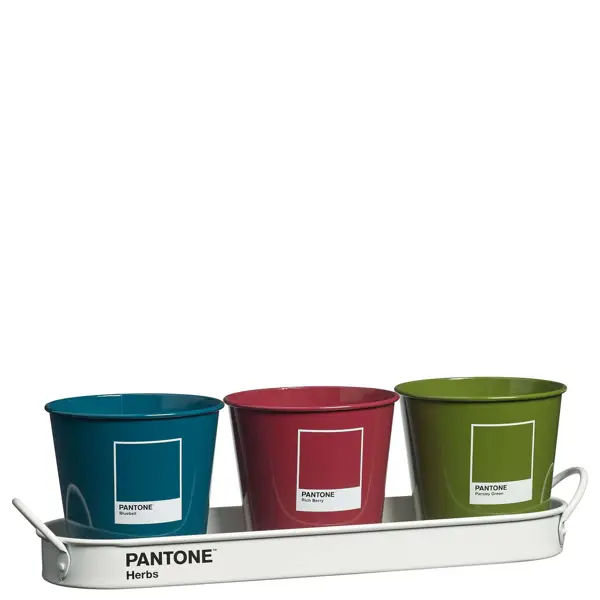 SET POSODIC ZA ZELIŠČA PANTONE