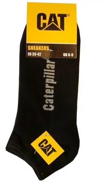 CAT AV51.JPG