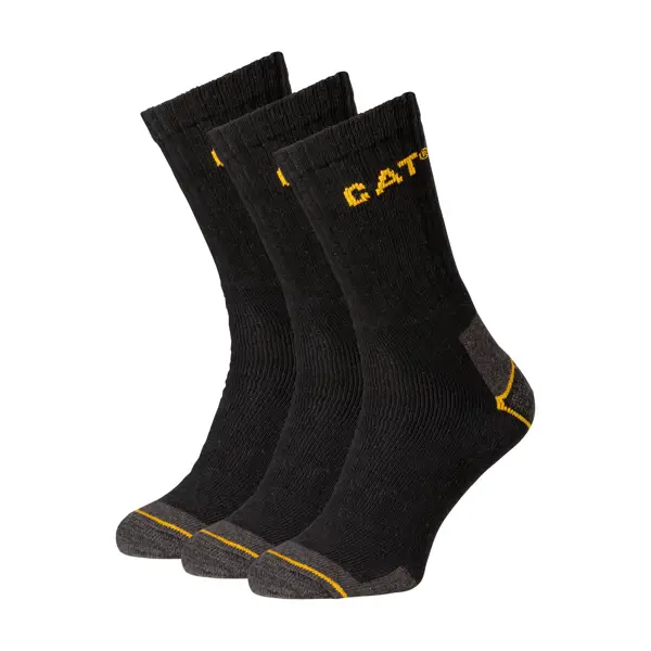 CAT DYP394.JPG