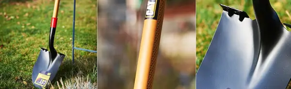 CAT J17-250_3.JPG