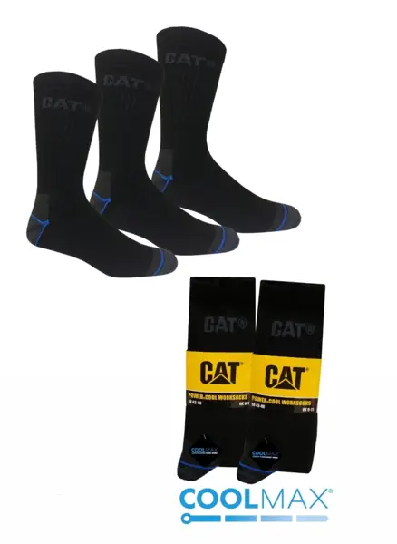 CAT DYN782.jpg